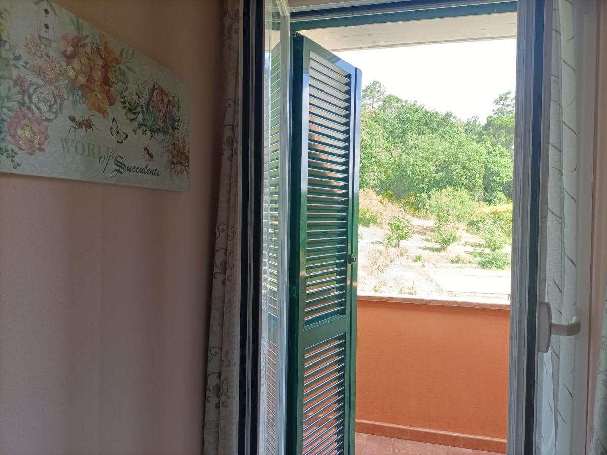 B&B Agriturismo Regno Di Toscana Collesalvetti Ngoại thất bức ảnh