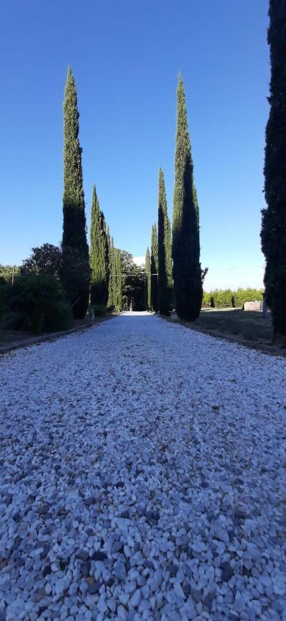 B&B Agriturismo Regno Di Toscana Collesalvetti Ngoại thất bức ảnh