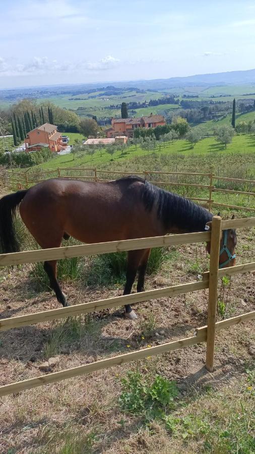 B&B Agriturismo Regno Di Toscana Collesalvetti Ngoại thất bức ảnh